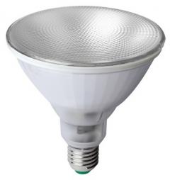 Scharnberger & Hasenbein 33279 PAR38 E27 230V 12W Pflanzenwachstum LED-Leuchtmittel